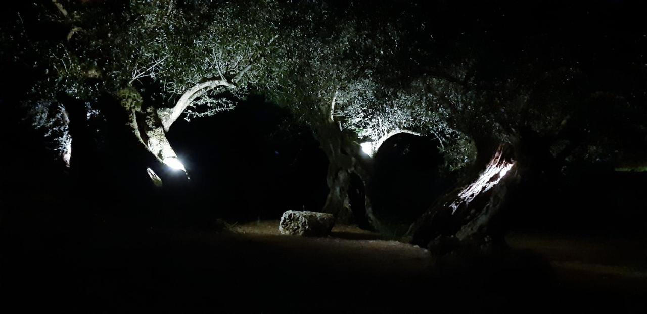 Il Veliero Fiskardo Exterior foto