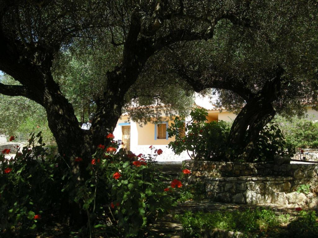 Il Veliero Fiskardo Exterior foto